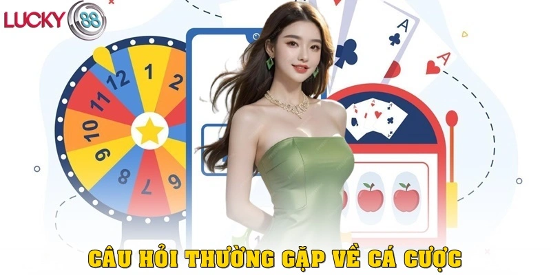Câu hỏi thường gặp về cá cược